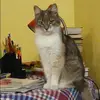 Отзыв от Дарья Зыкова